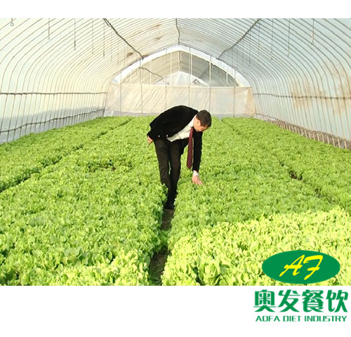 武漢食堂承包公司:在配送食材時,食堂承包有哪些要求？