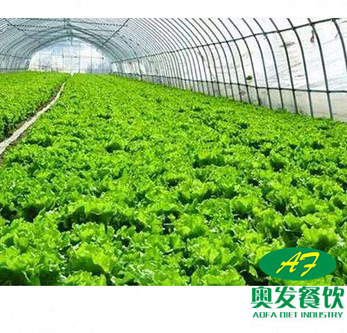 武漢食堂承包